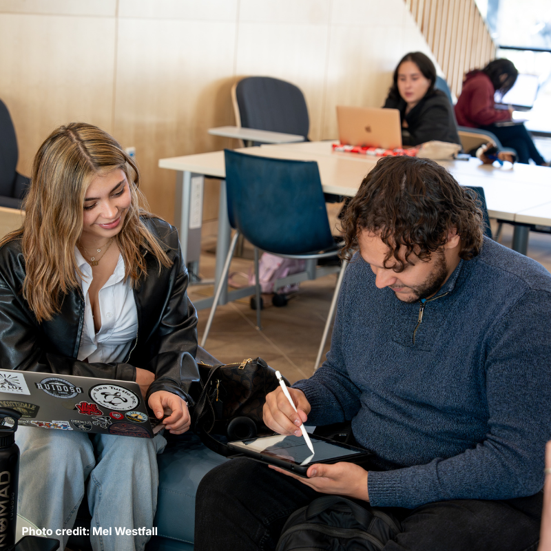 UNM case study 4