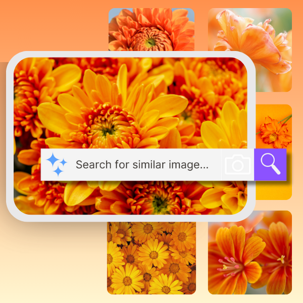 All AI Features Images (10)-1