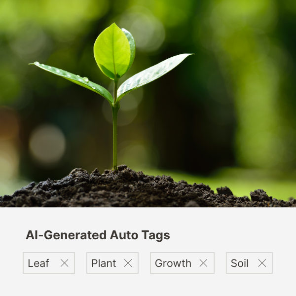 All AI Features Images (2)