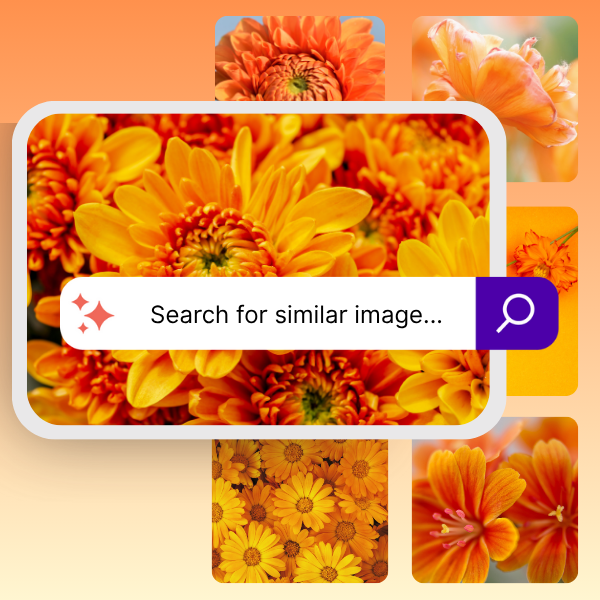 All AI Features Images (24)-1
