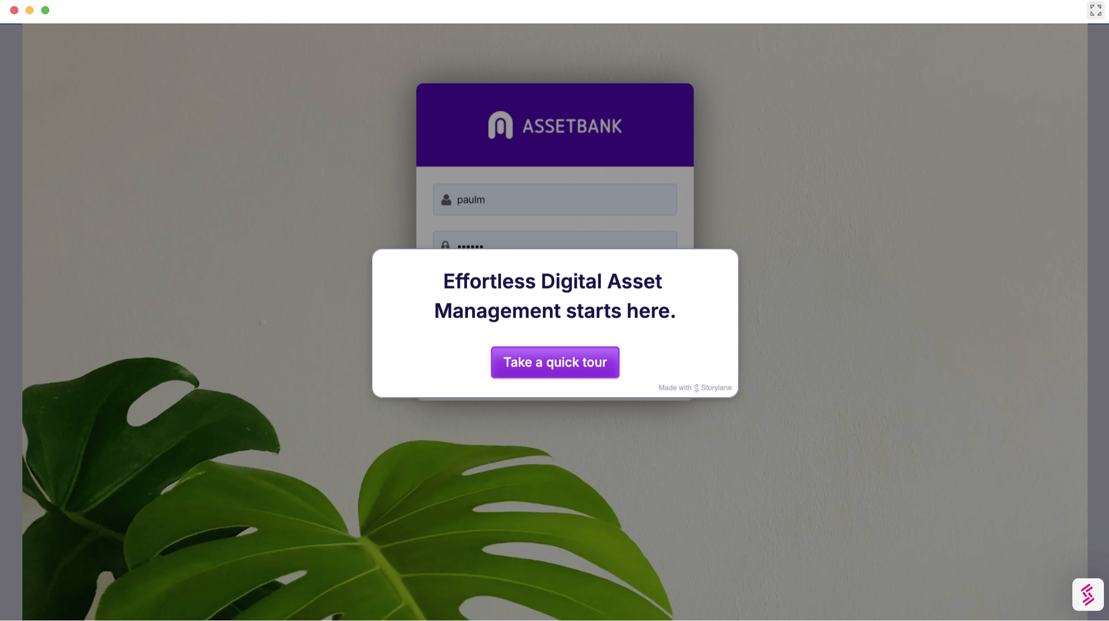 Asset Banks modern, intuitive digital asset management platform