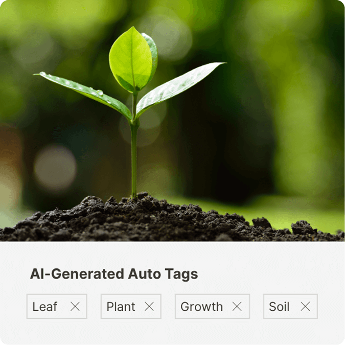 All AI Features Images
