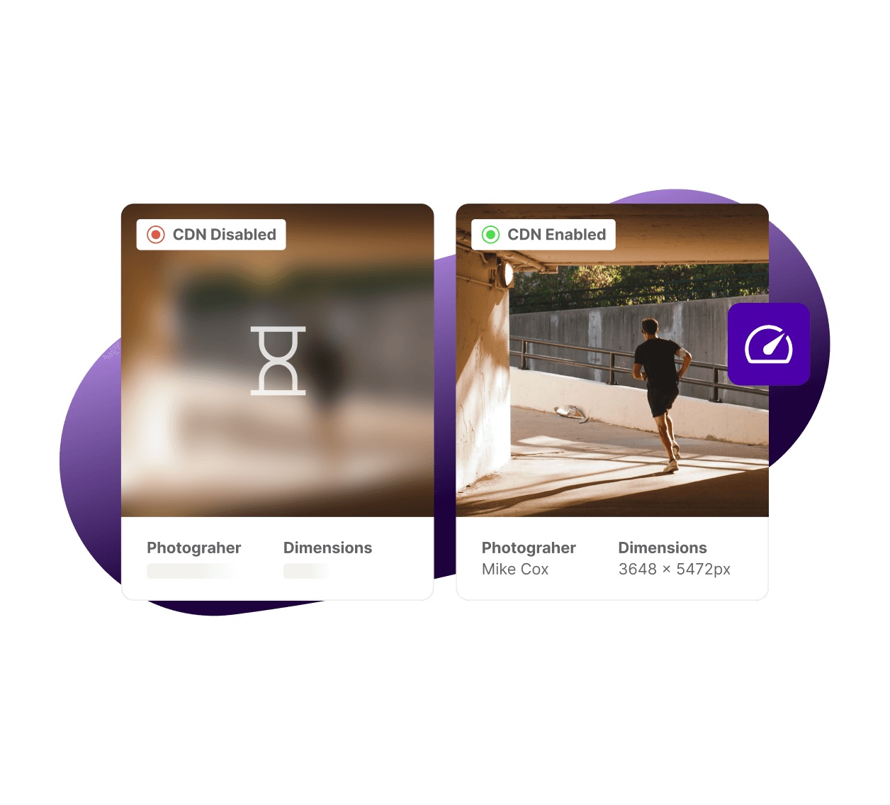 digital asset