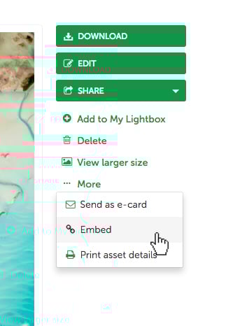5-refactored-buttons-links