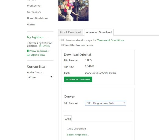 FireShot.Screen.Capture.165..Asset_.Bank_.I.Download.Image_..staff_assetbank_co_uk_assetbank.bright_action_viewDownloadImage_id.592.assetUse_usageTypeId.2.advanced.true_.parentId.0.repurpose.false_.repurposeAsset.fa-1
