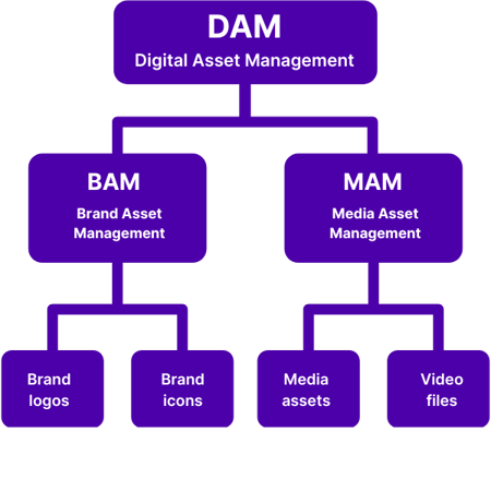 Brand Asset Management 2 (15)