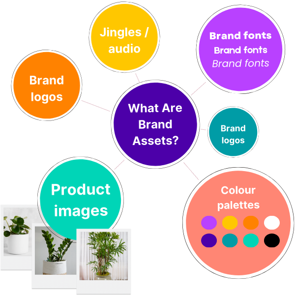 Brand Asset Management 2