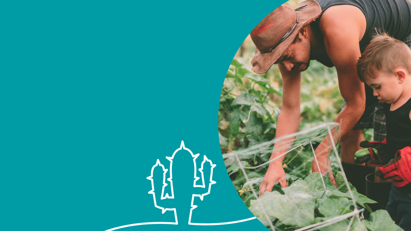 digital asset management IFAD 