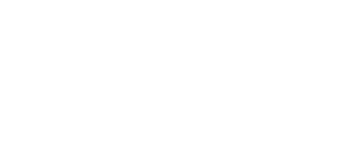 NSPCC Logo White