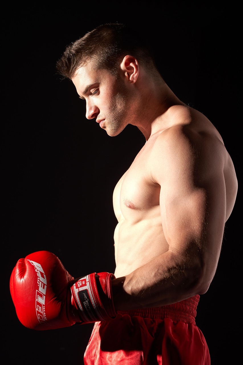 Premier Boxing Championships 2