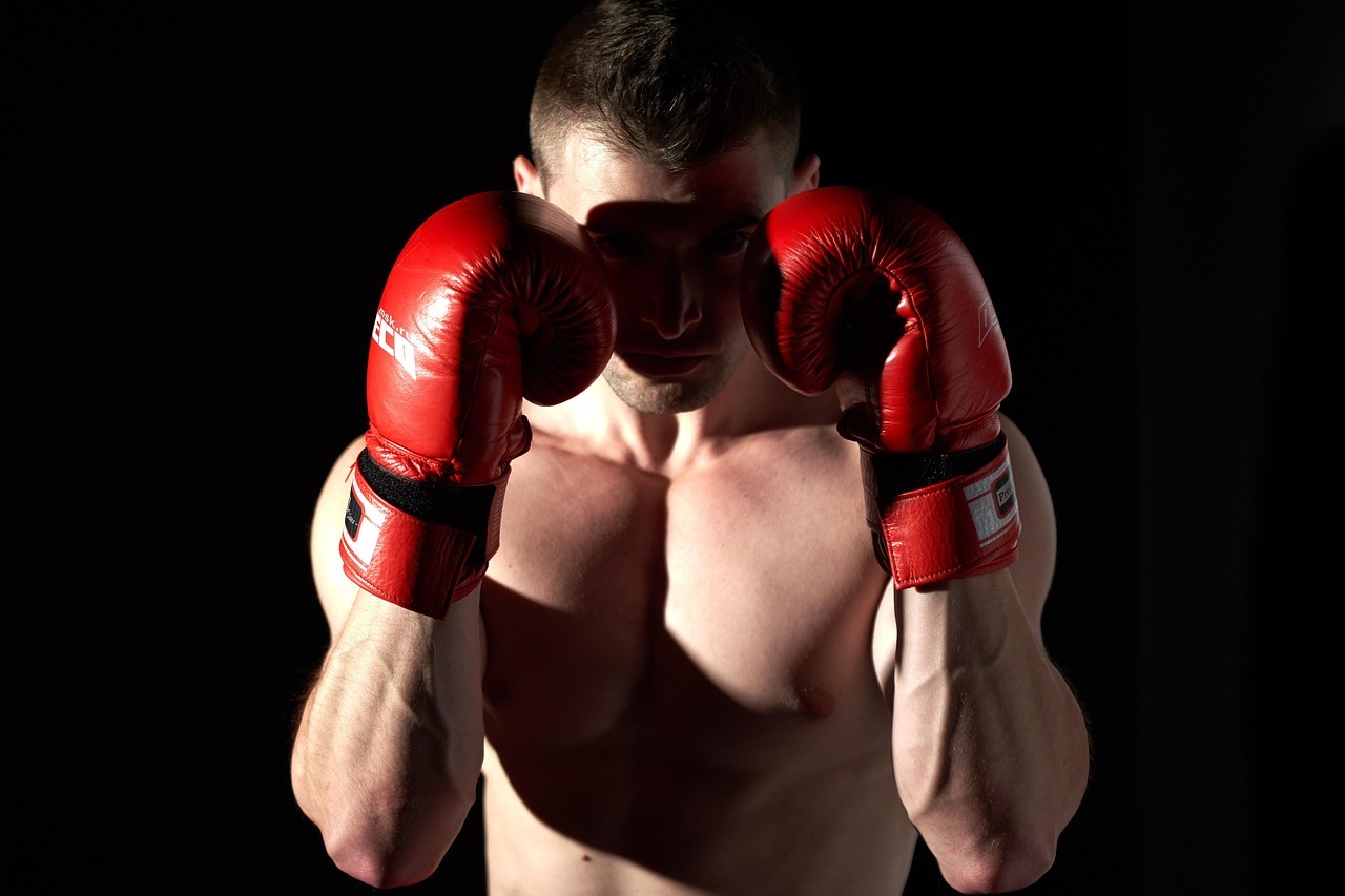 Premier Boxing Championships 4
