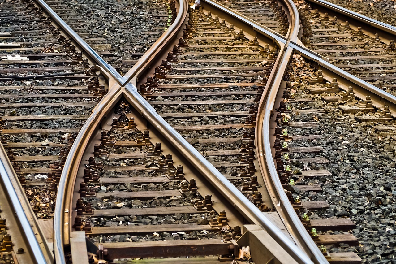 Serco case study 3
