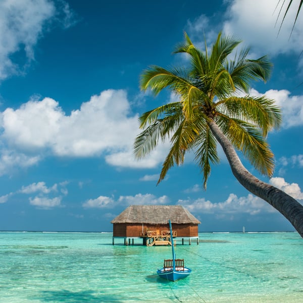 Travel case studies-1
