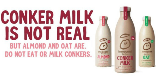 Innocent - Conker Milk 