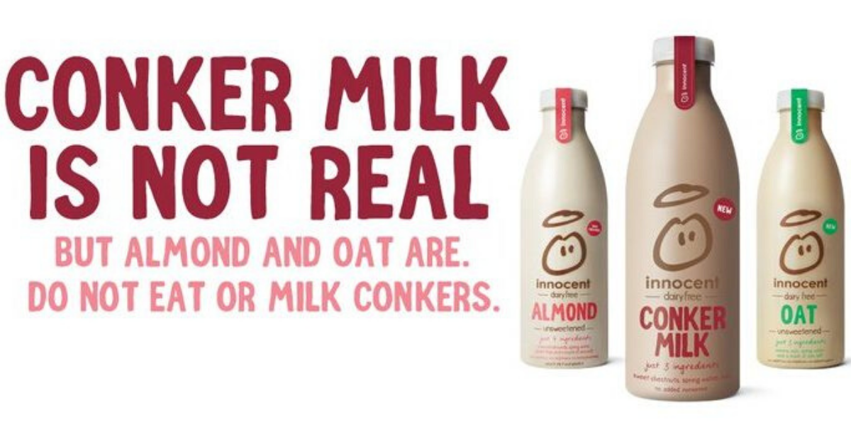 Innocent - Conker Milk 