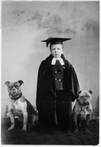 Victorian-Bully-Boy-206x300