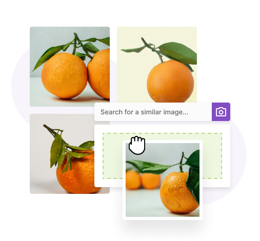 ai-search-by-image