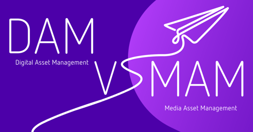 DAM vs MAM graphic 