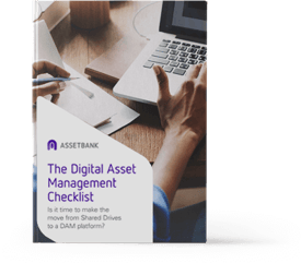 Download the DAM Checklist now