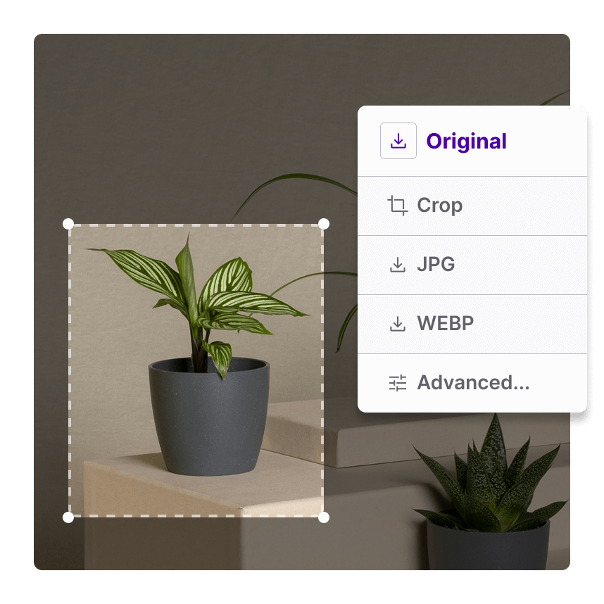 Custom download options graphic