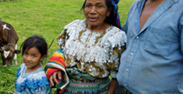 IFAD Case Study