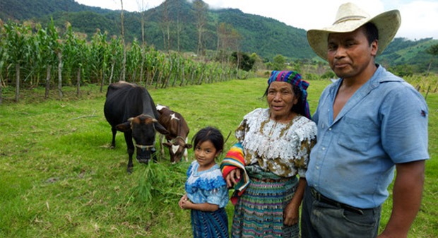 ifad
