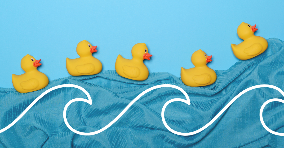 rubber ducks on blanket wave