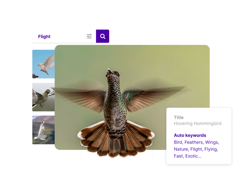product-search-june-2025-2