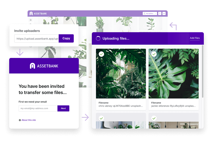 product-upload-june-2025